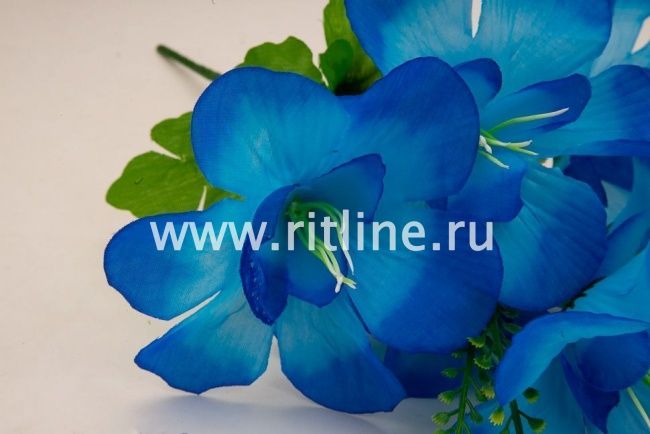 Букет клематисов "Fittone", 6г, выс.31, цв.микс Букет клематисов "Fittone", 6г, выс.31, цв.микс