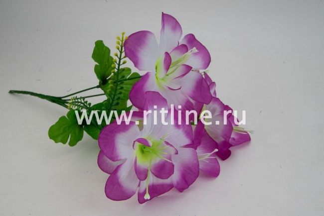 Букет клематисов "Fittone", 6г, выс.31, цв.микс Букет клематисов "Fittone", 6г, выс.31, цв.микс