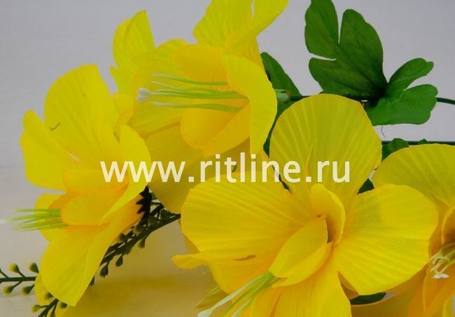 Букет клематисов "Fittone", 6г, выс.31, цв.микс Букет клематисов "Fittone", 6г, выс.31, цв.микс