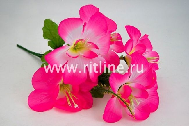 Букет клематисов "Fittone", 6г, выс.31, цв.микс Букет клематисов "Fittone", 6г, выс.31, цв.микс