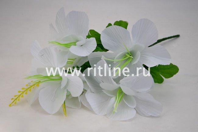 Букет клематисов "Fittone", 6г, выс.31, цв.микс Букет клематисов "Fittone", 6г, выс.31, цв.микс