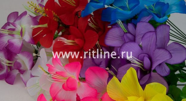 Букет клематисов "Fittone", 6г, выс.31, цв.микс Букет клематисов "Fittone", 6г, выс.31, цв.микс