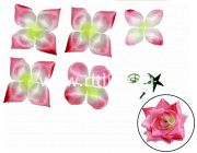 Голова розы(высечка+пластик.запчасти) "Fittone", 5сл, атлас, диам.14см, цв.микс Голова розы(высечка+пластик.запчасти) "Fittone", 5сл, атлас, диам.14см, цв.микс