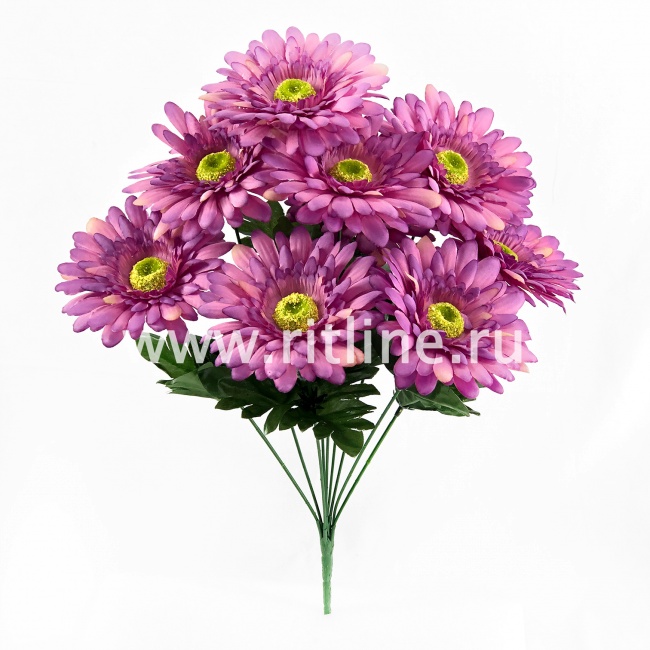 Букет гербер "FITTONE", 9г., выс. 43см, цв.микс
