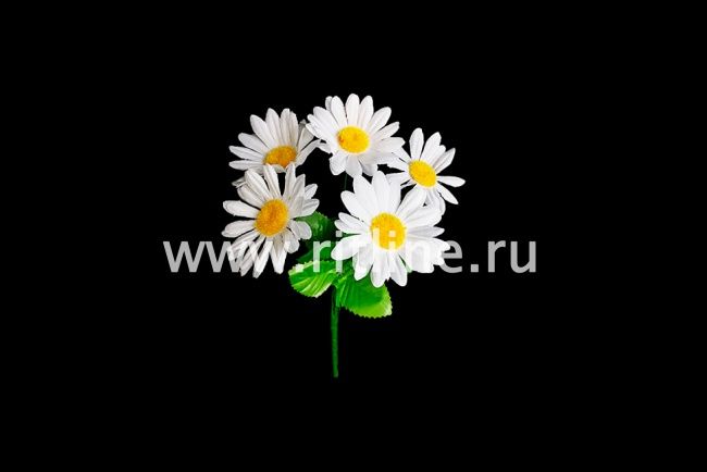Букет ромашек "Fittone", 5г, выс.32см, плотный шелк, цв.белый снег