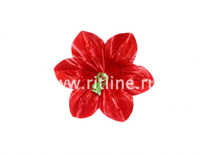 Голова клематиса, 1сл, атлас, диам. 14 см, цв. красный FITTONE Голова клематиса, 1сл, атлас, диам. 14 см, цв. красный FITTONE