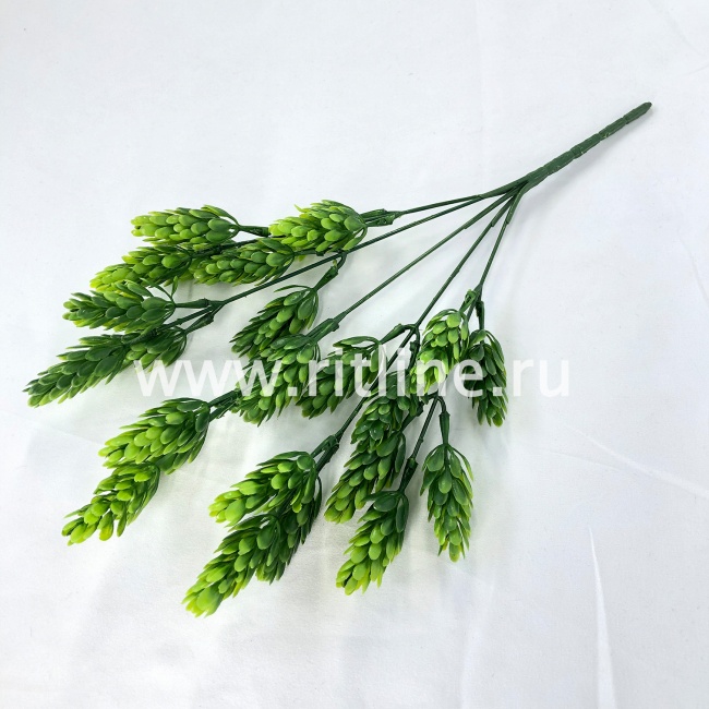 Букет хмеля "FITTONE", 5 ветвей, выс. 33см, пластик, цв.микс Букет хмеля "FITTONE", 5 ветвей, выс. 33см, пластик, цв.микс