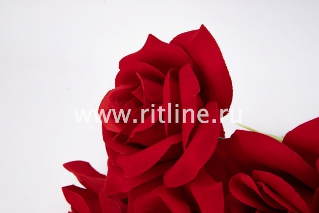 Букет бархатных роз "Fittone", 7г, выс.52см, цв.красный Букет бархатных роз "Fittone", 7г, выс.52см, цв.красный
