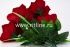 Букет бархатных роз "Fittone", 7г, выс.52см, цв.красный