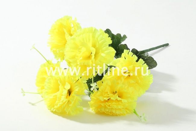 Букет гвоздик "Fittone", 6г, выс.42, цв.микс