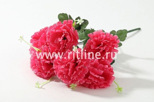 Букет гвоздик "Fittone", 6г, выс.42, цв.микс