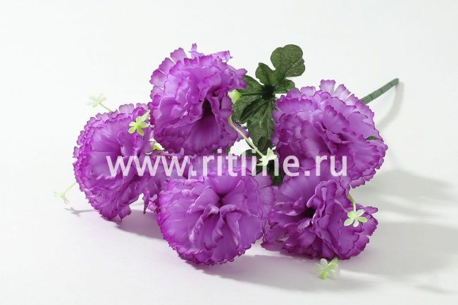 Букет гвоздик "Fittone", 6г, выс.42, цв.микс