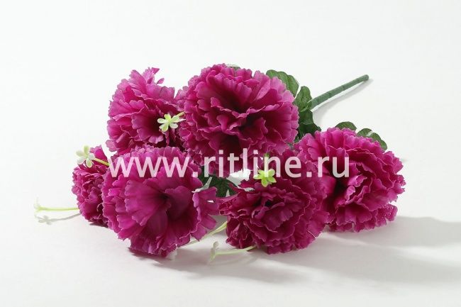 Букет гвоздик "Fittone", 6г, выс.42, цв.микс