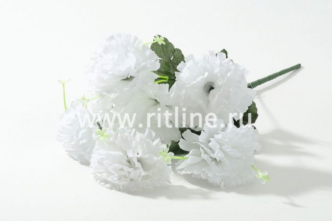 Букет гвоздик "Fittone", 6г, выс.42, цв.микс