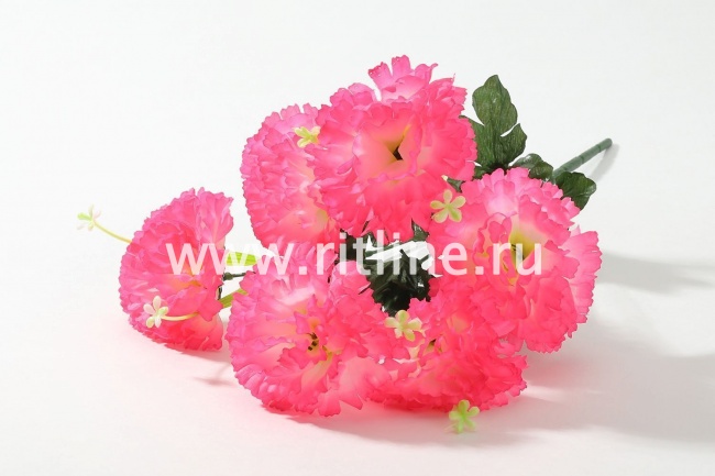 Букет гвоздик "Fittone", 6г, выс.42, цв.микс