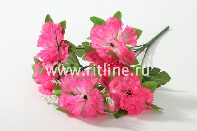 Букет гвоздик "Fittone", 6г, выс.30, цв.микс