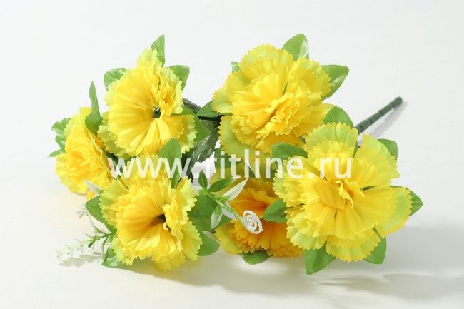 Букет гвоздик "Fittone", 6г, выс.30, цв.микс