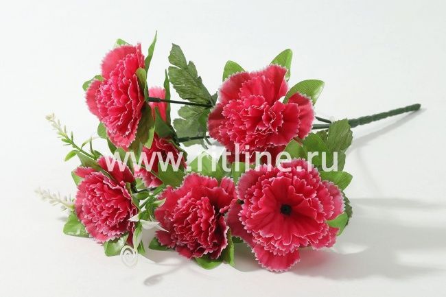 Букет гвоздик "Fittone", 6г, выс.30, цв.микс