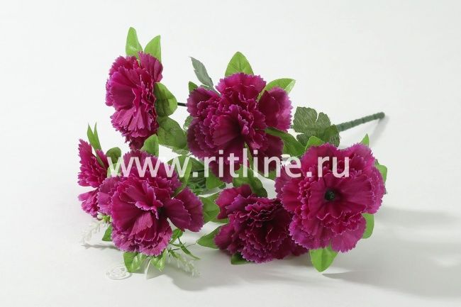 Букет гвоздик "Fittone", 6г, выс.30, цв.микс