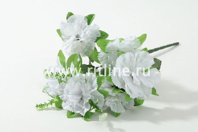 Букет гвоздик "Fittone", 6г, выс.30, цв.микс