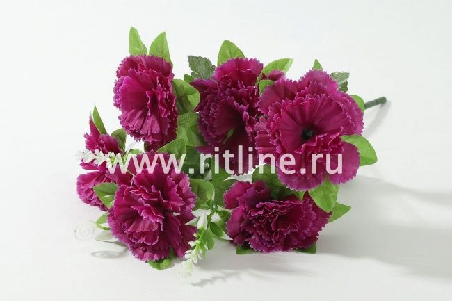 Букет гвоздик "Fittone", 6г, выс.30, цв.микс