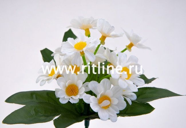 Букет пластиковых ромашек, 5 групп, выс. 24 см, цв. белый снег FITTONE Букет пластиковых ромашек, 5 групп, выс. 24 см, цв. белый снег FITTONE