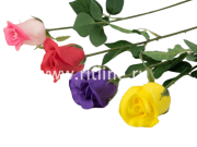 Роза одиночная латексная, выс. 43 см, цв. микс FITTONE