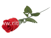 Роза одиночная бархатная, выс. 63 см, цв. красный FITTONE