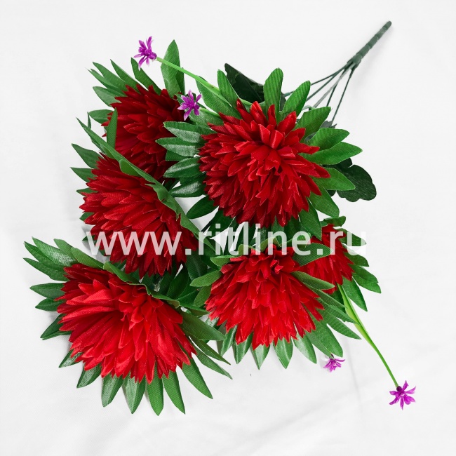 Букет астр "FITTONE", 6г., выс. 49см, цв.микс Букет астр "FITTONE", 6г., выс. 49см, цв.микс