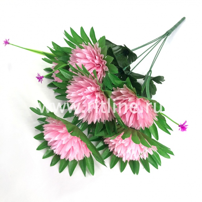Букет астр "FITTONE", 6г., выс. 49см, цв.микс Букет астр "FITTONE", 6г., выс. 49см, цв.микс