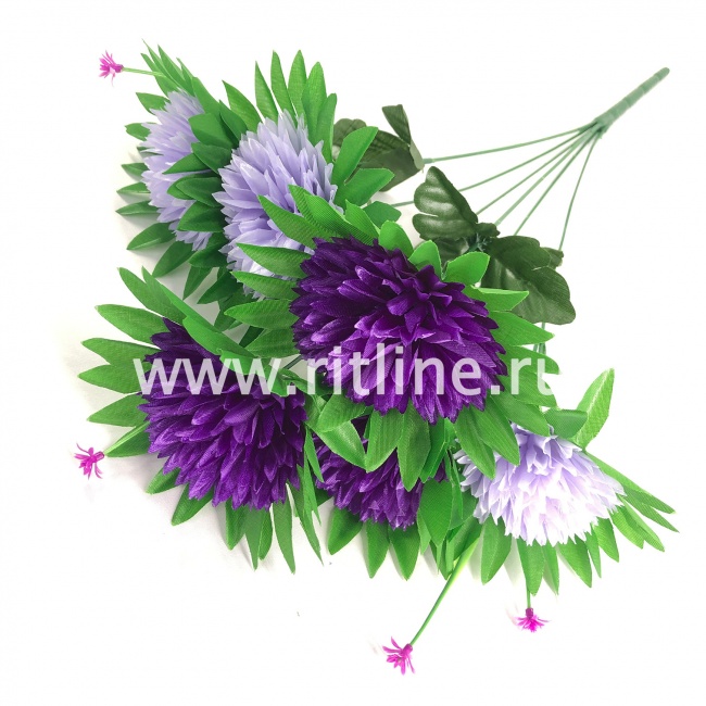 Букет астр "FITTONE", 6г., выс. 49см, цв.микс Букет астр "FITTONE", 6г., выс. 49см, цв.микс