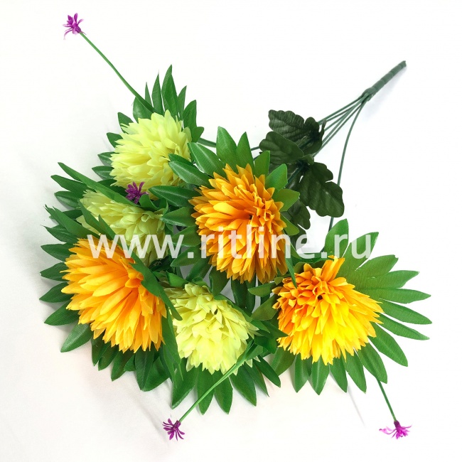 Букет астр "FITTONE", 6г., выс. 49см, цв.микс Букет астр "FITTONE", 6г., выс. 49см, цв.микс