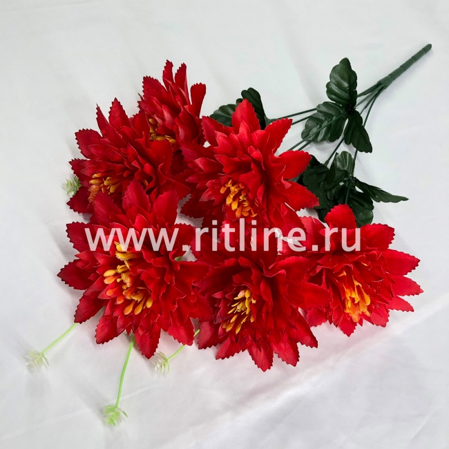 Букет хризантем "FITTONE", 6г., выс. 50см, цв.микс Букет хризантем "FITTONE", 6г., выс. 50см, цв.микс