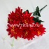 Букет хризантем "FITTONE", 6г., выс. 50см, цв.микс