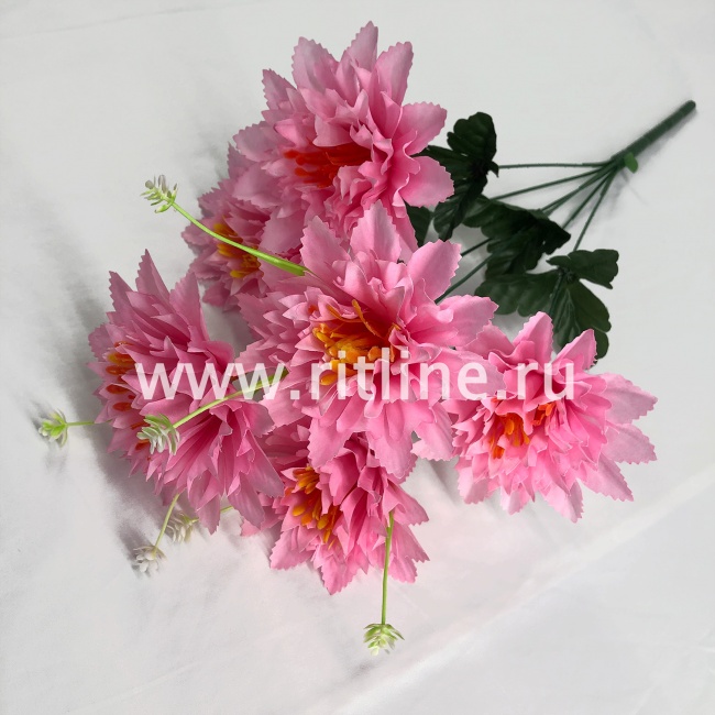 Букет хризантем "FITTONE", 6г., выс. 50см, цв.микс Букет хризантем "FITTONE", 6г., выс. 50см, цв.микс
