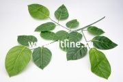 Ветка яблони "FITTONE", 15л, выс.73см, с принтом, цв.зеленый Ветка яблони "FITTONE", 15л, выс.73см, с принтом, цв.зеленый
