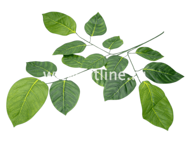 Ветка яблони, 15л с принтом FITTONE