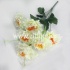 Букет георгинов "FITTONE", 6г., выс. 45см, цв.микс