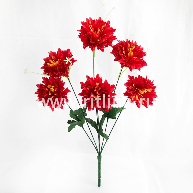 Букет георгинов "FITTONE", 6г., выс. 45см, цв.микс Букет георгинов "FITTONE", 6г., выс. 45см, цв.микс