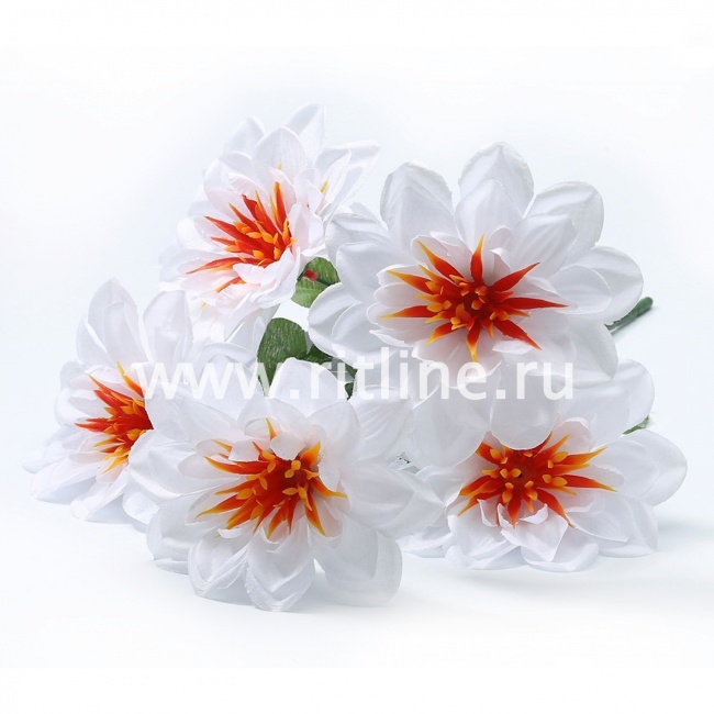 Букет георгинов "Fittone", 6г, выс.33, шелк, цв.микс